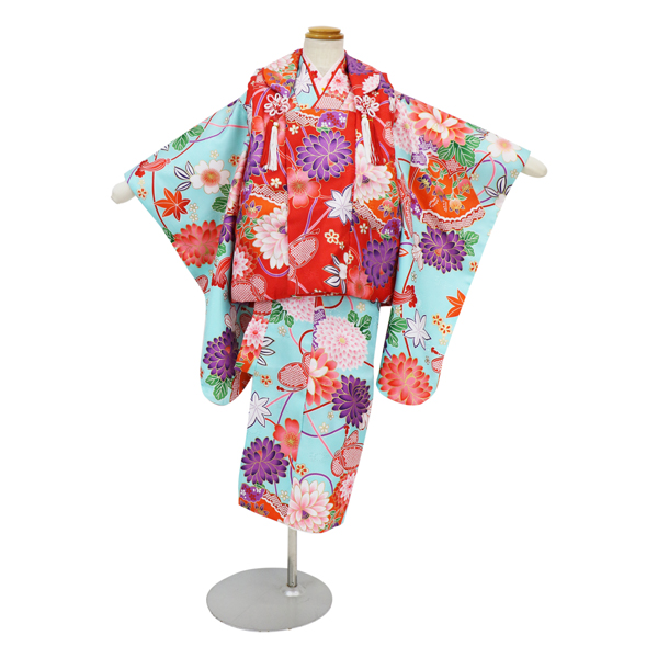 てふてふ祝い菊三昧・白藍